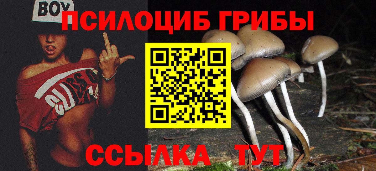 Орск  Галлюциногенные грибы Psilocybe  Вход с VPN 